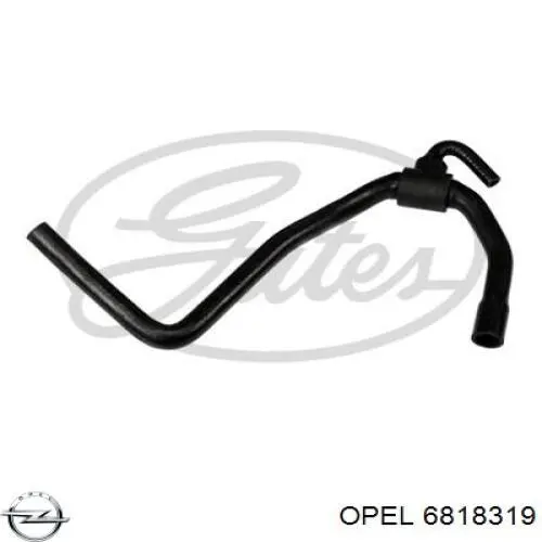 6818319 Opel tubería de radiador, alimentación