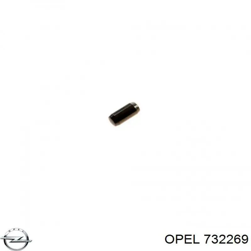 732269 Opel 