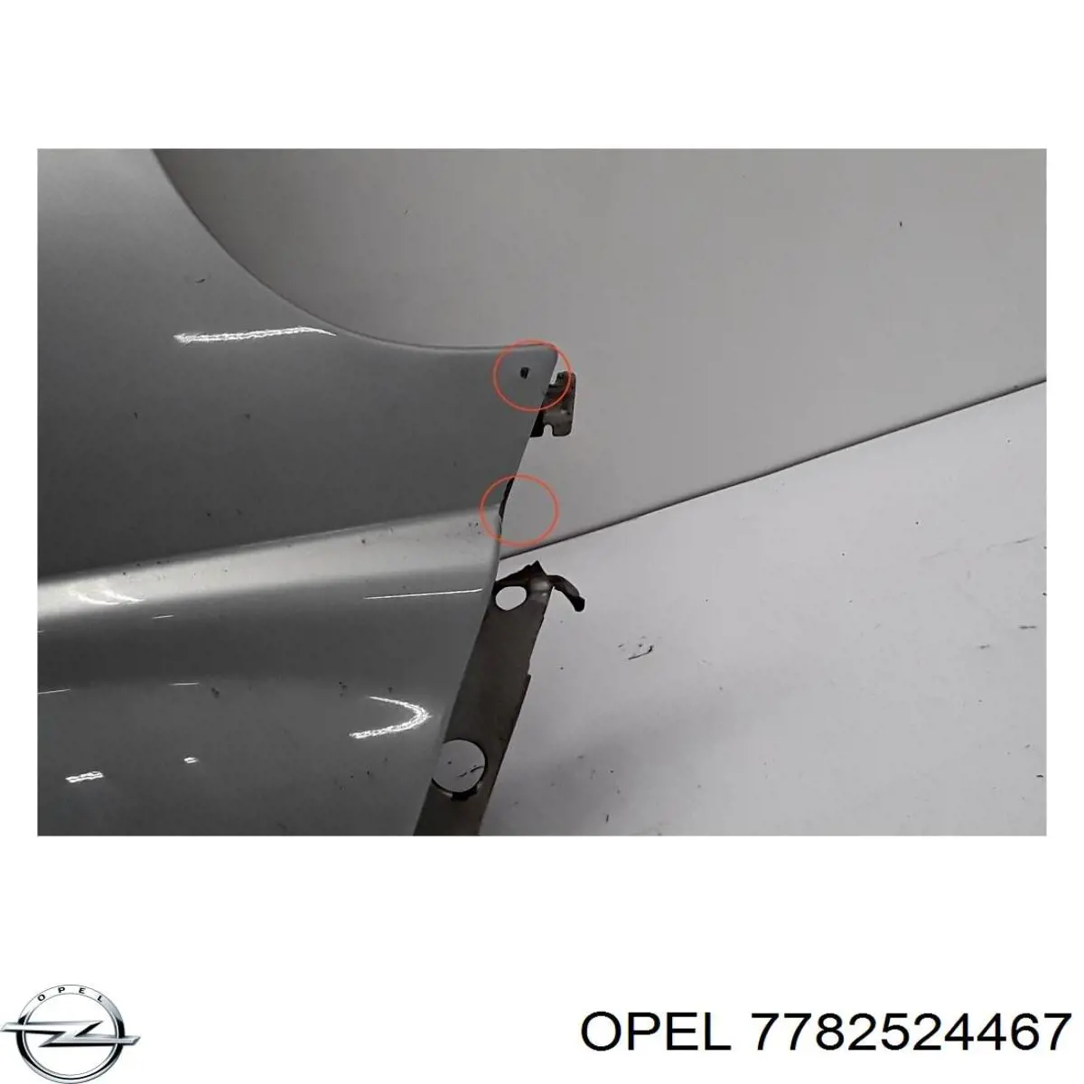 4416489 Opel Aleta delantera