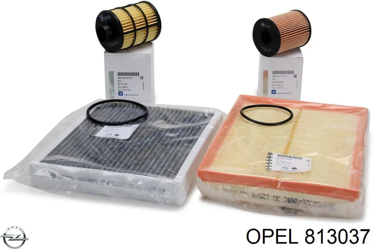 813037 Opel caja, filtro de combustible