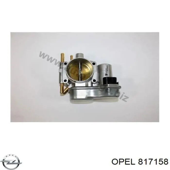 817158 Opel cuerpo de mariposa completo