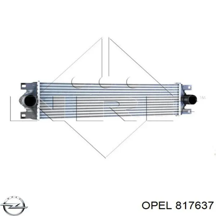 817637 Opel regulador de presión de combustible