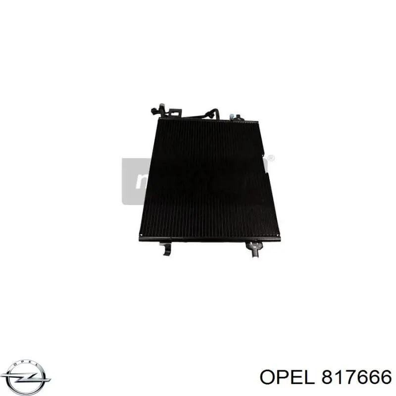 817666 Opel radiador de aceite, bajo de filtro