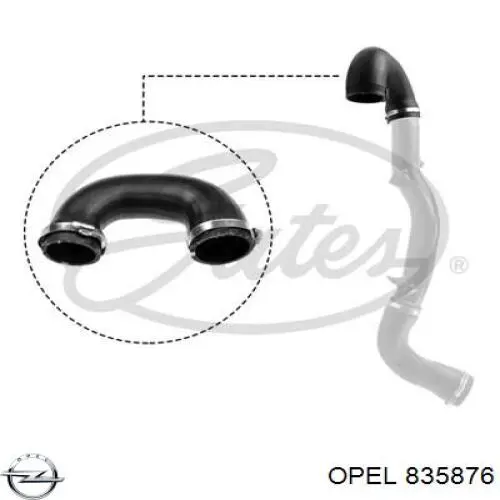 835876 Opel