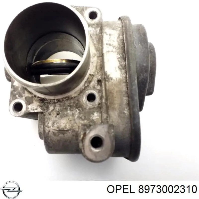 Cuerpo de aceleración completo Opel 8973002310 precio, desde 116,59 EUR