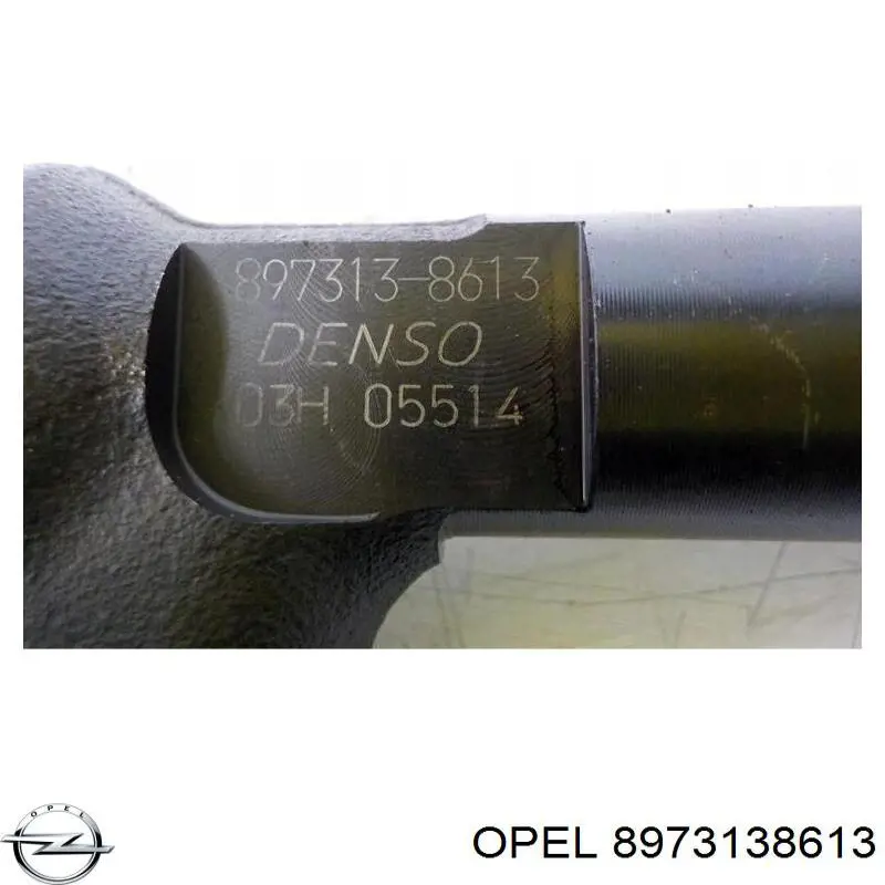 8973138613 Opel