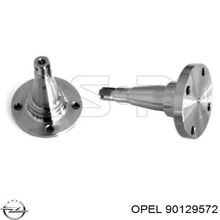 Cubo de rueda trasero 9499004 GSP