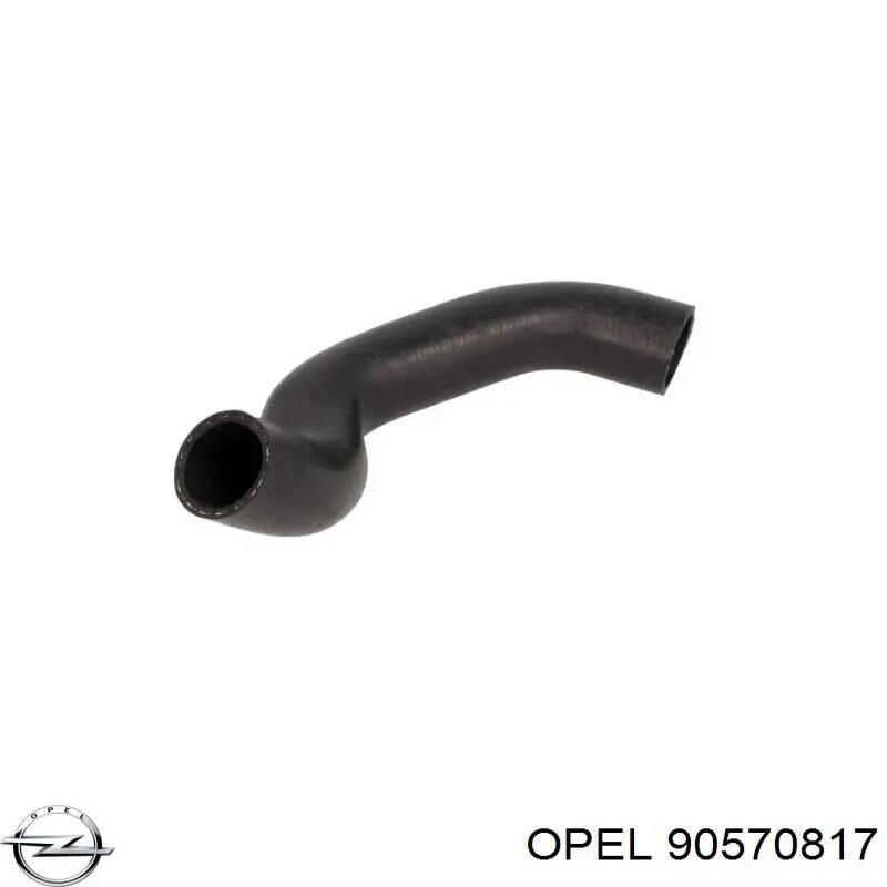 90570817 Opel manguera refrigerante para radiador inferiora