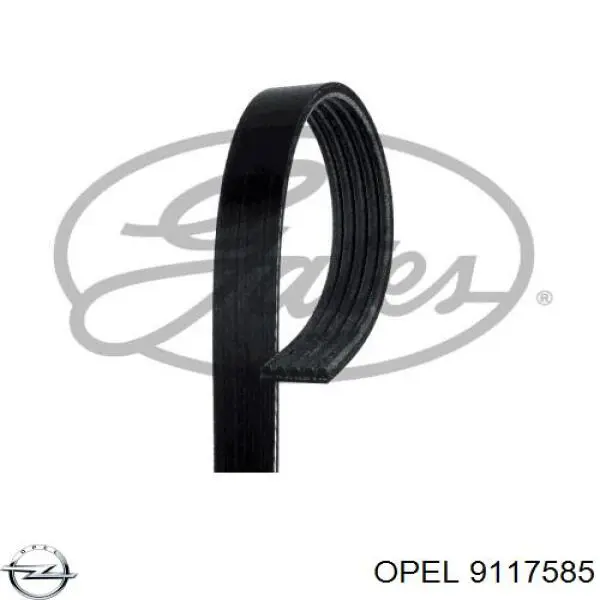 9117585 Opel correa trapezoidal