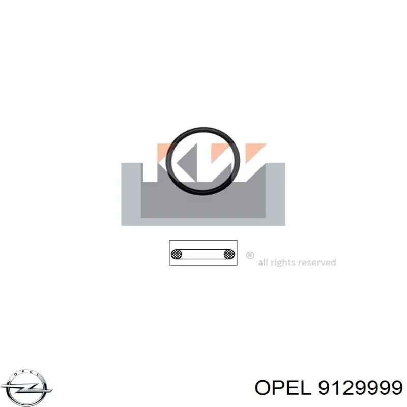 Comprar 9129999 Opel Junta de bomba de agua