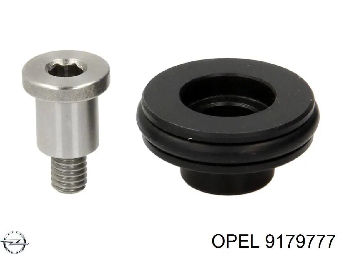 Rodillo central izquierdo de puerta corrediza Opel 9179777 precio, desde 42,11 EUR
