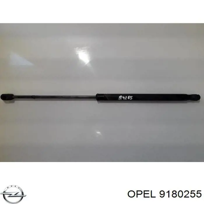9180255 Opel amortiguador maletero