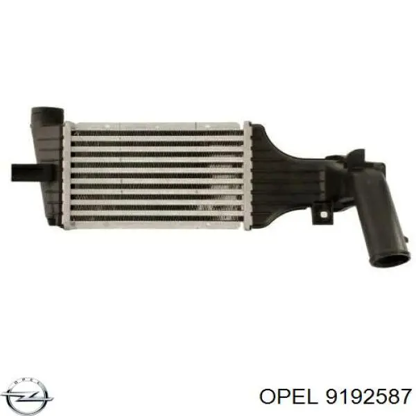 Radiador de aire de admisión Opel 9192587 precio, desde 79,71 EUR