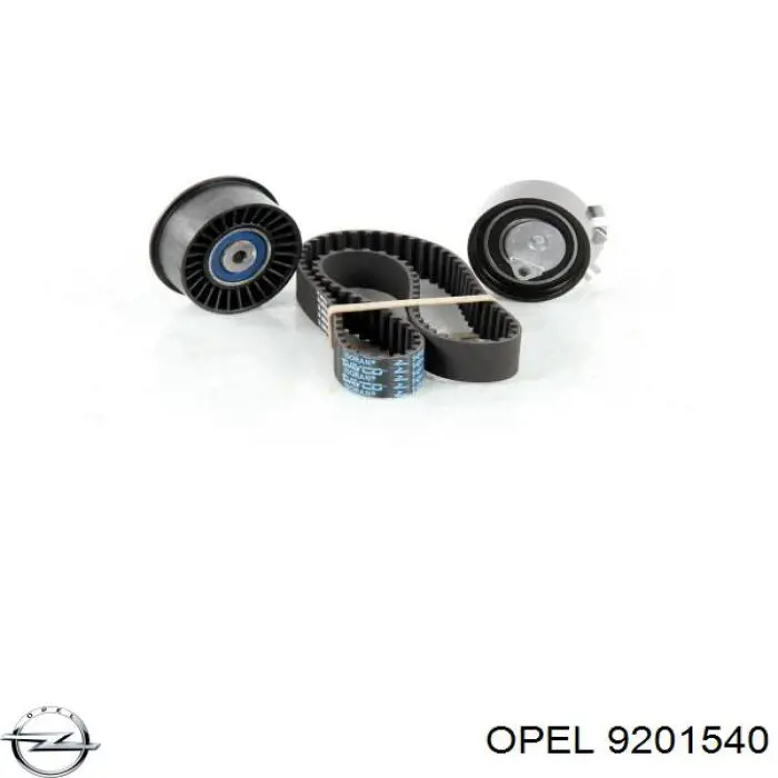 Rodillo intermedio de correa dentada Renault Master 2 HD, FD