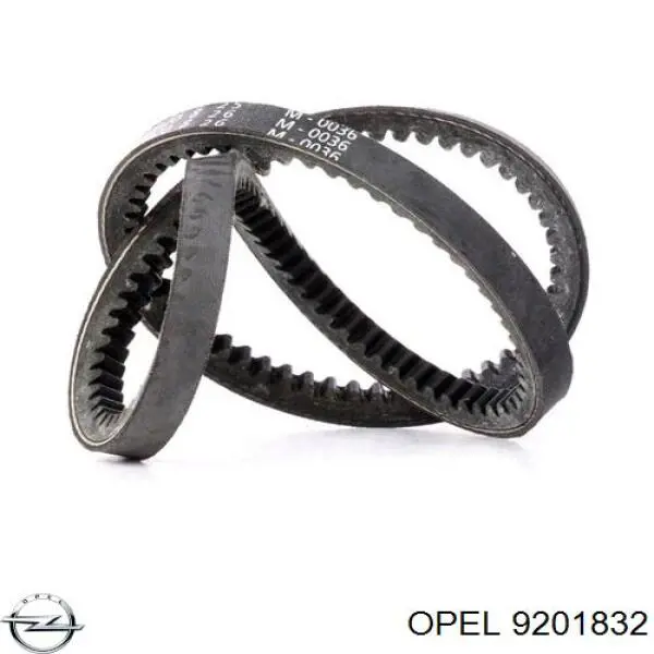Comprar 10A1325GL Dayco Correa trapezoidal