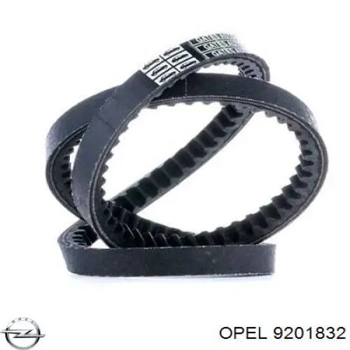 Correa accesorios Dayco 10A1325GL
