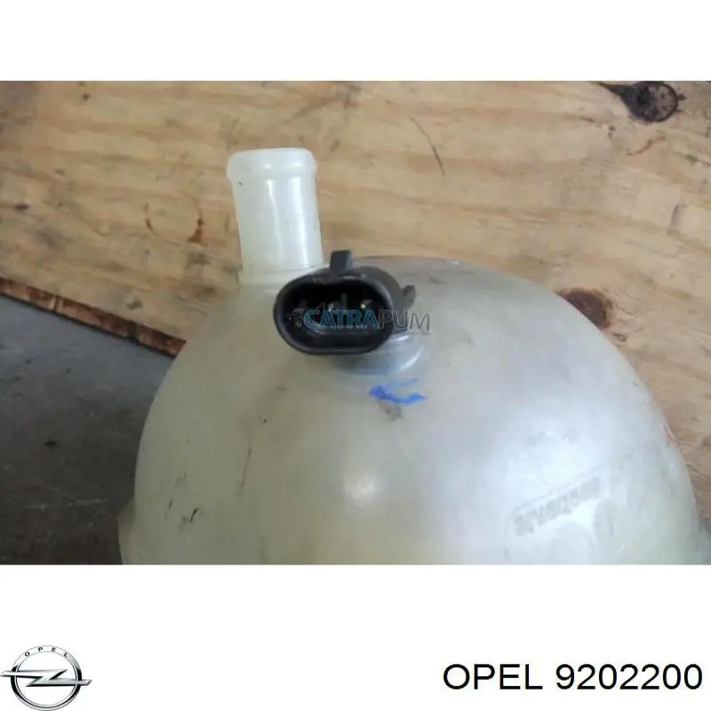 Botella expansion Opel 9202200 precio, desde 26,22 EUR