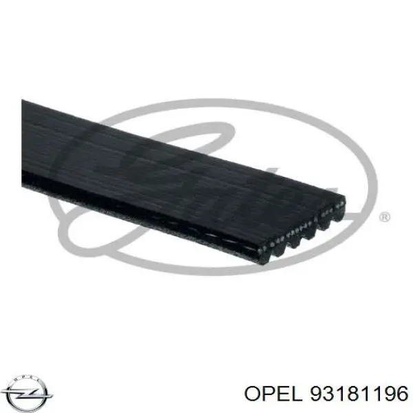 93181196 Opel correa trapezoidal