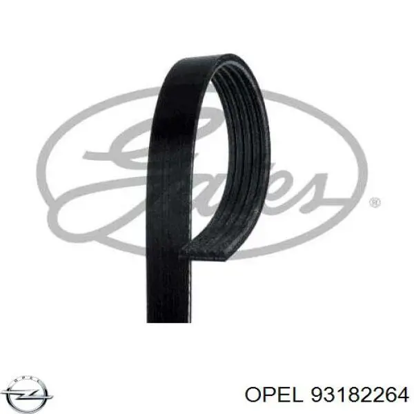 93182264 Opel correa trapezoidal