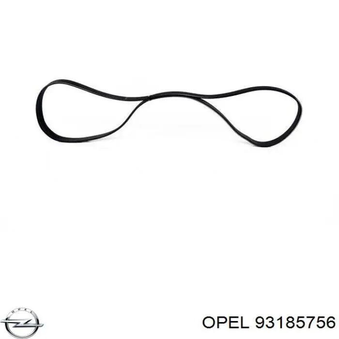 93185756 Opel correa trapezoidal