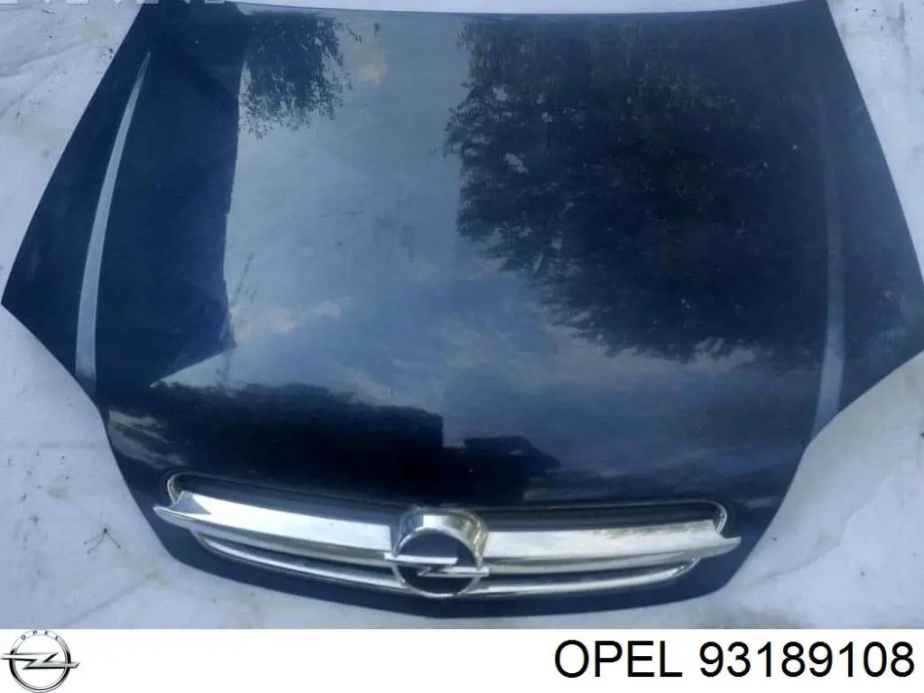 Comprar 93189108 Opel Capó
