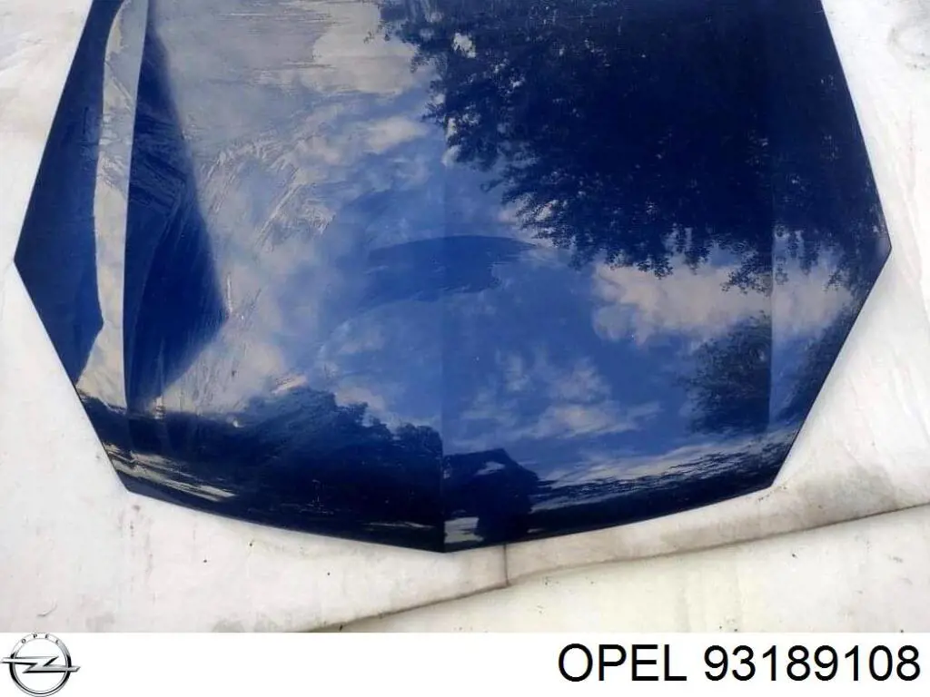 1160012 Opel capó