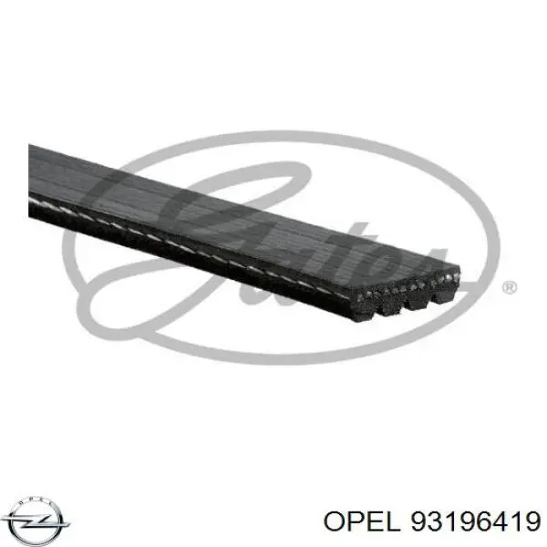 93196419 Opel correa trapezoidal