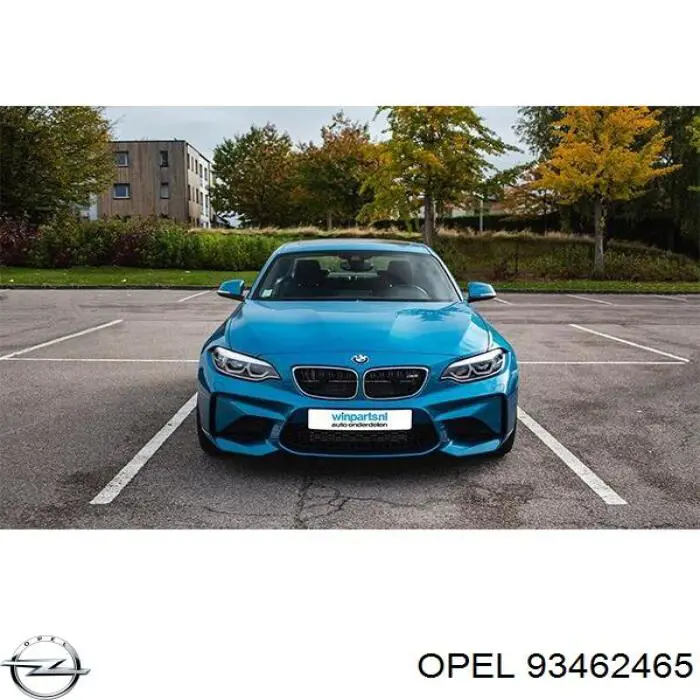 Guardalodos delantero izquierdo Opel 93462465 precio, desde 31,67 EUR