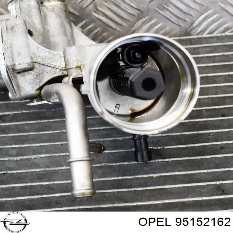 Radiador de refrigeración de la transmisión Opel 95152162 precio, desde 121,97 EUR