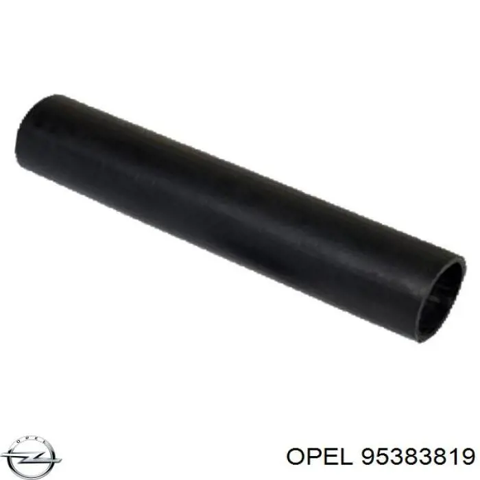 Tubo flexible de aire de sobrealimentación Cautex 769742