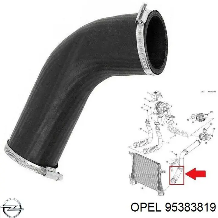 769742 Cautex Manguera del intercooler