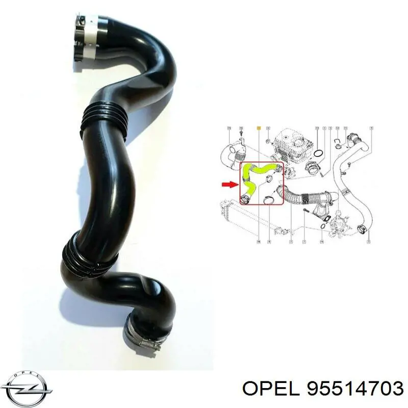 1446300Q1N Renault (RVI) Manguera del intercooler