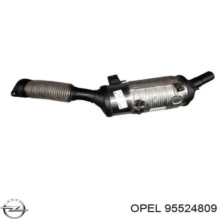 200100665R Renault (RVI) DPF