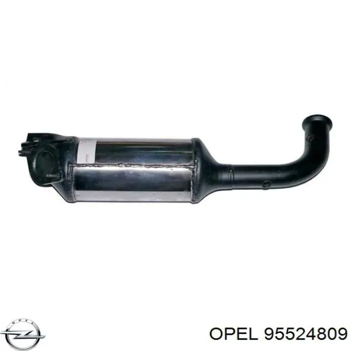 Filtro hollín Renault (RVI) 200100665R precio, desde 729,58 EUR