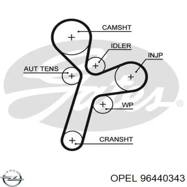 96440343 Opel correa distribucion