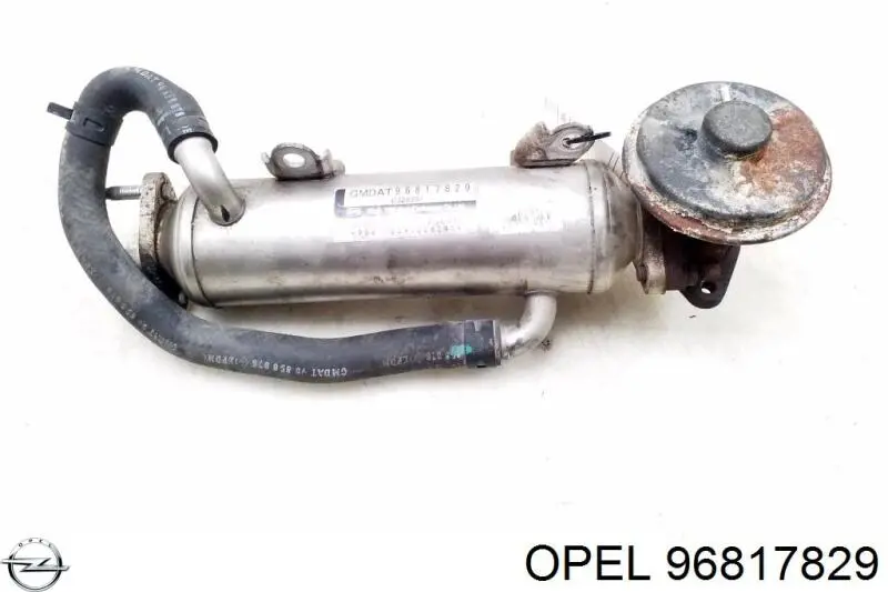 Enfriador de recirculación de gases de escape EGR 96817829 Opel