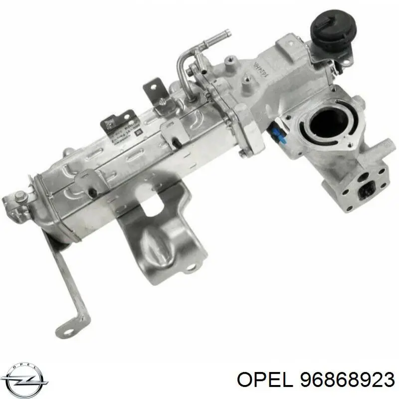 Comprar 4802055 Opel Válvula EGR