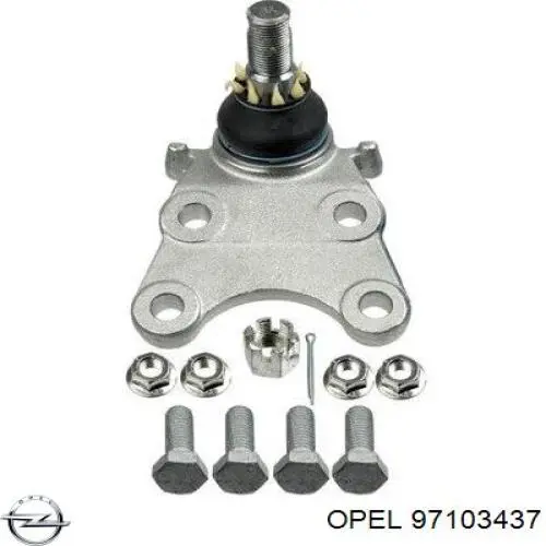 Rótula inferior de suspensión Opel 97103437 precio, desde 30,10 EUR