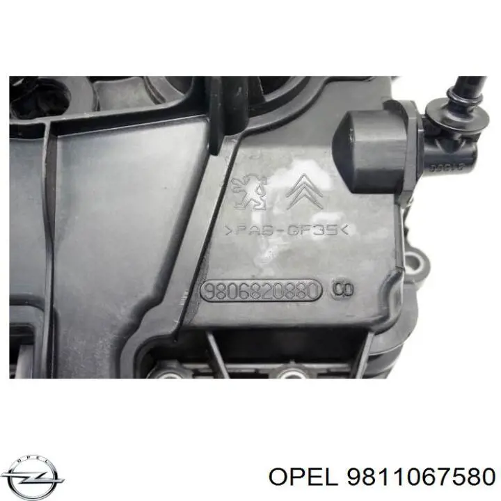 Comprar 3556042 Peugeot/Citroen Tapa de balancines