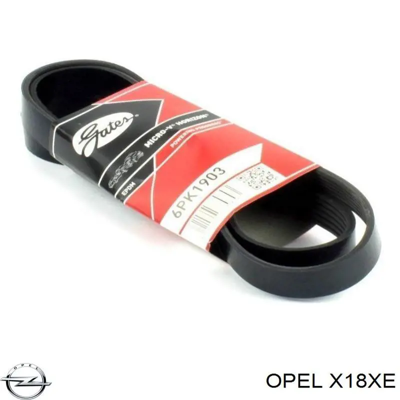 Motor completo Opel X18XE precio, desde 525,62 EUR
