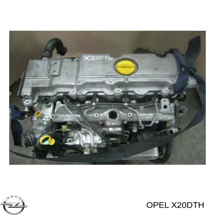 X20DTH Opel Motor completo