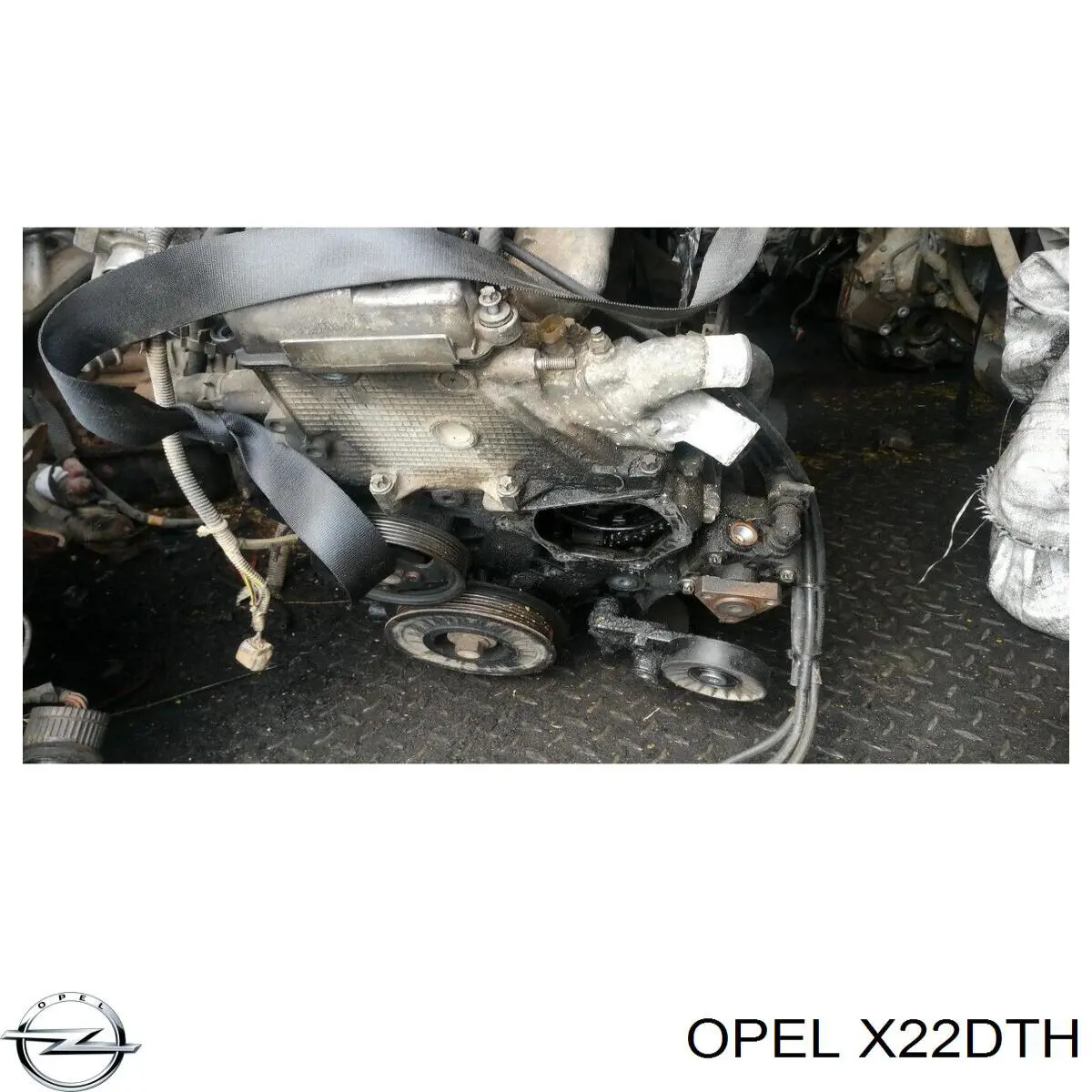Motor completo Opel X22DTH precio, desde  EUR