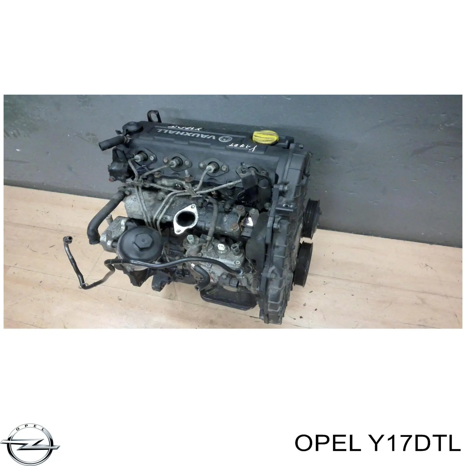 Y17DTL Opel Motor completo
