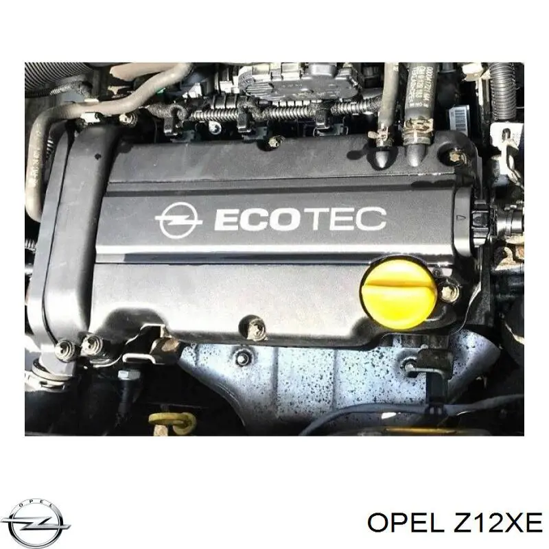 Z12XE General Motors motor completo