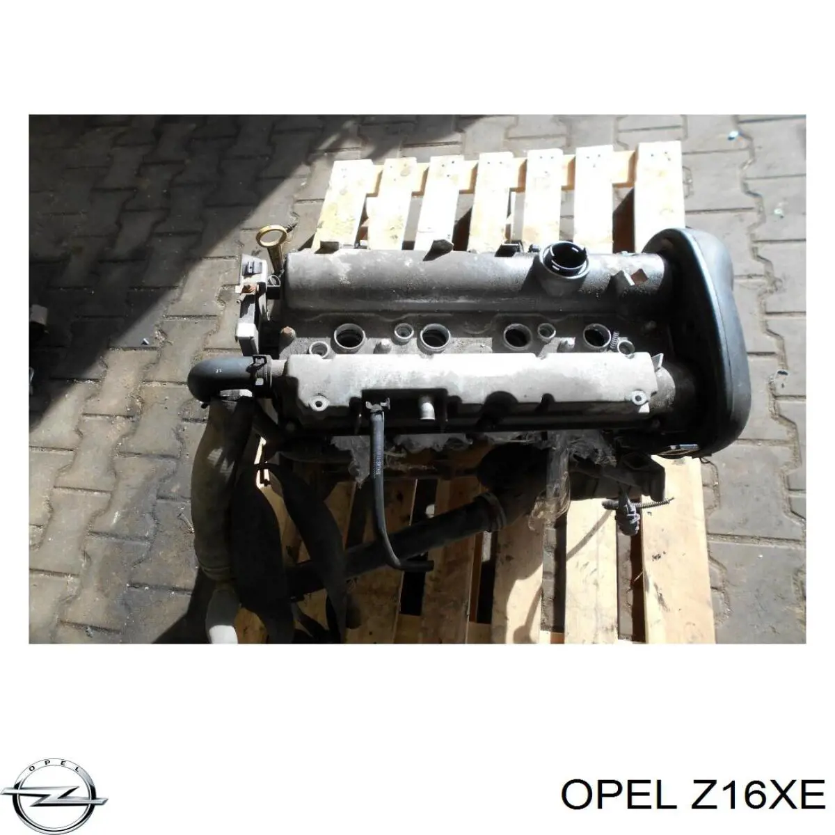 Z16XE Opel Motor completo