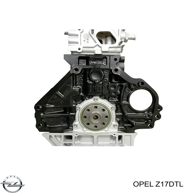 Z17DTL Opel Motor completo