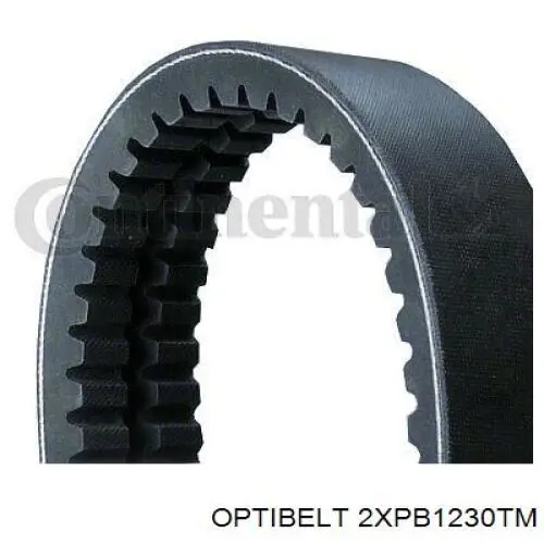 Correa de alternador 2XPB1230 Continental/Siemens