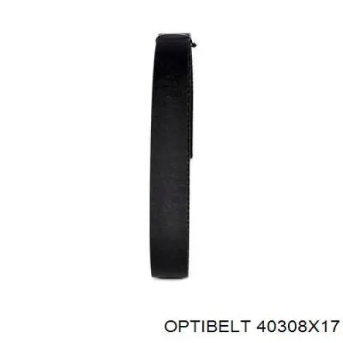 40308X17 Optibelt correa distribucion