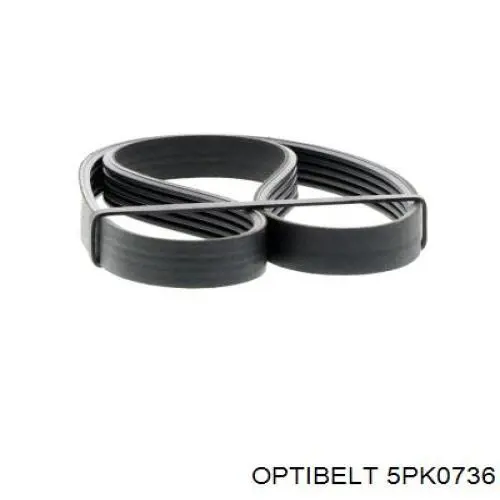 5PK0736 Optibelt correa trapezoidal