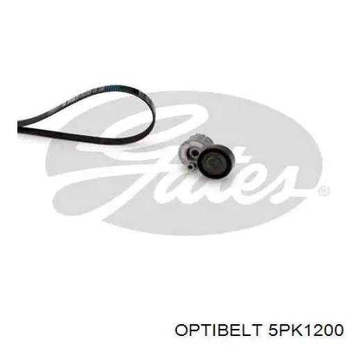 Correa trapezoidal Jeep Grand Cherokee 1 Z